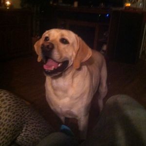 Meet your Posher, Patti